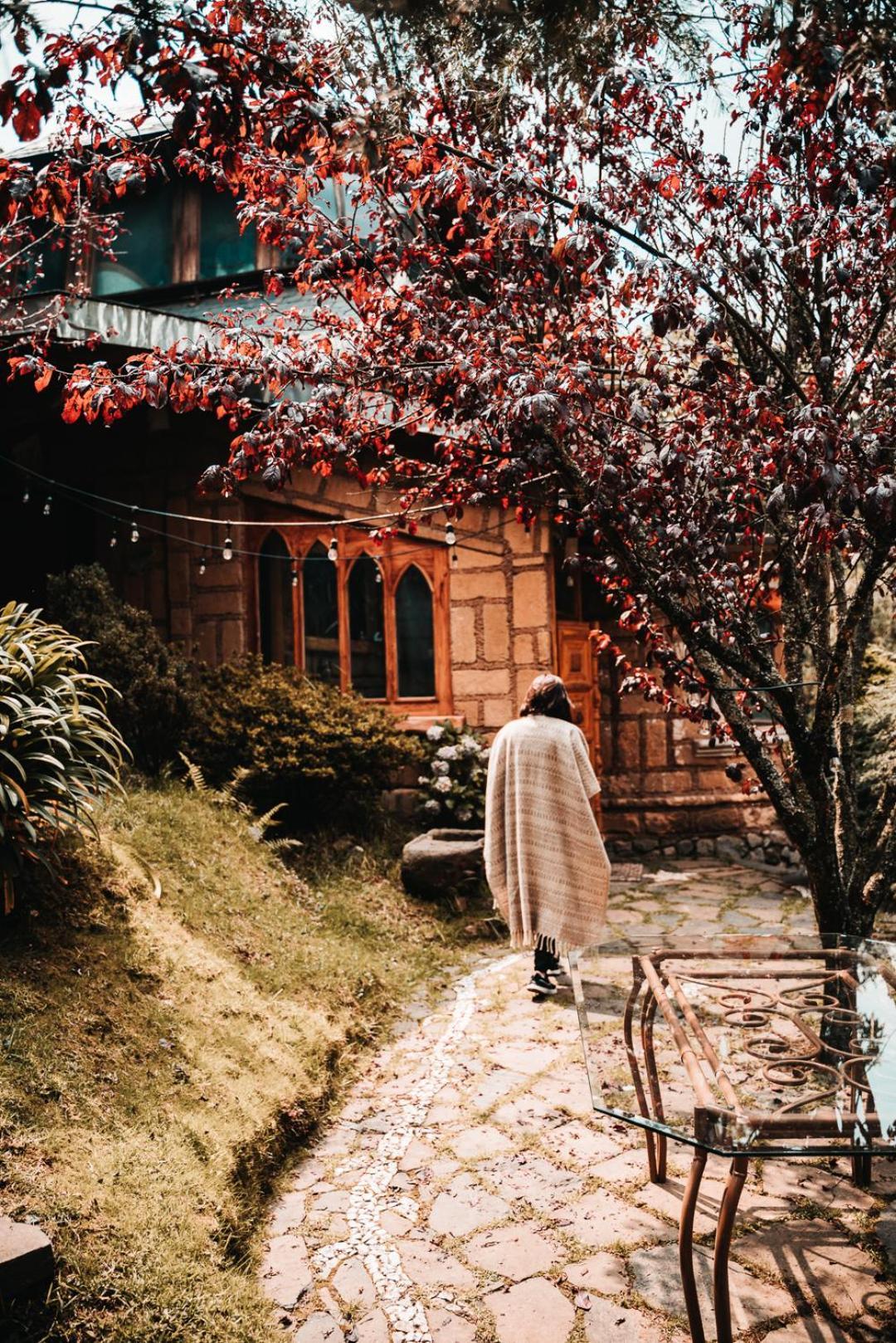 Boxque Teva 호텔 멕시코 시 외부 사진